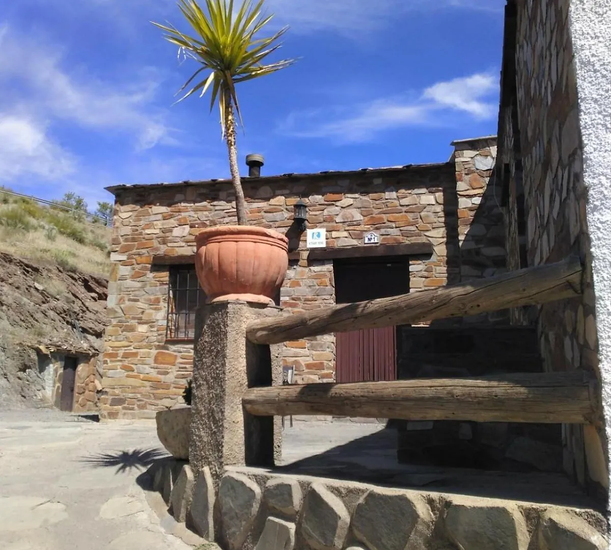 Encina De Lorenzo 1 Abrucena